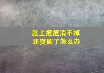 脸上痘痘消不掉 还变硬了怎么办